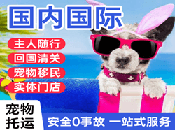 台州路桥航空邮寄国际宠物托运 【国